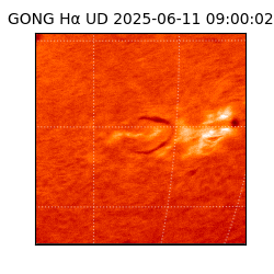gong - 2025-06-11T09:00:02
