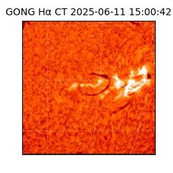 gong - 2025-06-11T15:00:42
