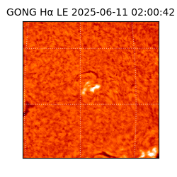 gong - 2025-06-11T02:00:42