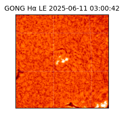gong - 2025-06-11T03:00:42