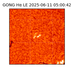 gong - 2025-06-11T05:00:42