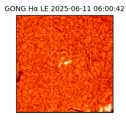 gong - 2025-06-11T06:00:42