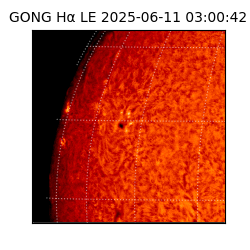 gong - 2025-06-11T03:00:42