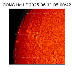 gong - 2025-06-11T05:00:42