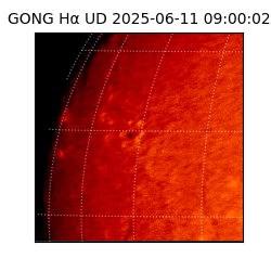 gong - 2025-06-11T09:00:02