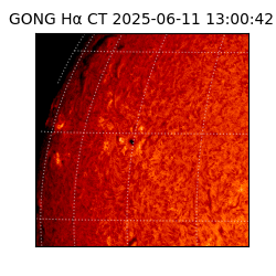 gong - 2025-06-11T13:00:42