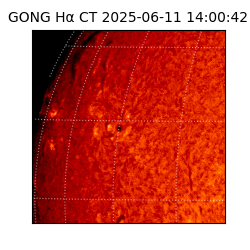 gong - 2025-06-11T14:00:42
