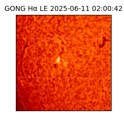 gong - 2025-06-11T02:00:42