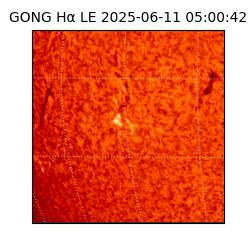 gong - 2025-06-11T05:00:42