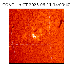 gong - 2025-06-11T14:00:42