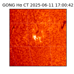 gong - 2025-06-11T17:00:42