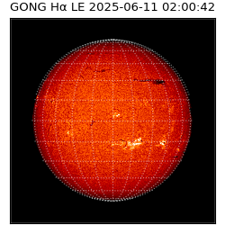 gong - 2025-06-11T02:00:42