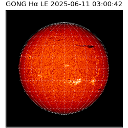 gong - 2025-06-11T03:00:42
