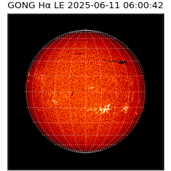 gong - 2025-06-11T06:00:42