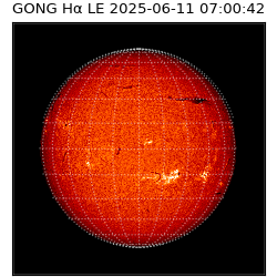 gong - 2025-06-11T07:00:42