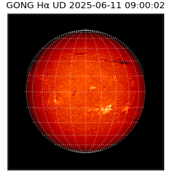 gong - 2025-06-11T09:00:02