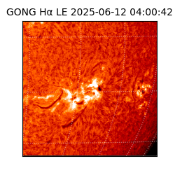 gong - 2025-06-12T04:00:42