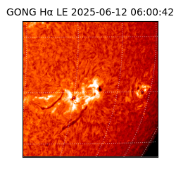 gong - 2025-06-12T06:00:42