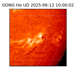 gong - 2025-06-12T10:00:02