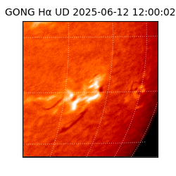 gong - 2025-06-12T12:00:02