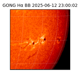 gong - 2025-06-12T23:00:02