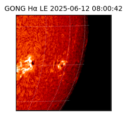 gong - 2025-06-12T08:00:42