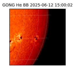 gong - 2025-06-12T15:00:02