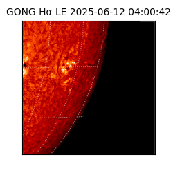 gong - 2025-06-12T04:00:42