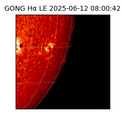 gong - 2025-06-12T08:00:42