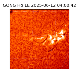 gong - 2025-06-12T04:00:42