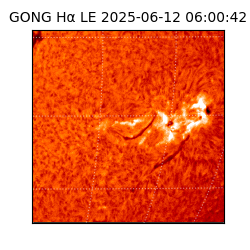 gong - 2025-06-12T06:00:42