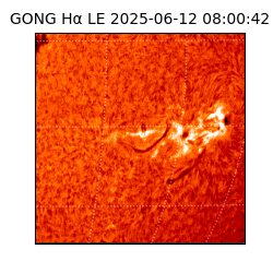gong - 2025-06-12T08:00:42