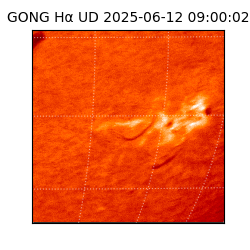 gong - 2025-06-12T09:00:02