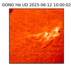 gong - 2025-06-12T10:00:02