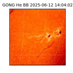 gong - 2025-06-12T14:04:02