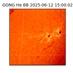 gong - 2025-06-12T15:00:02