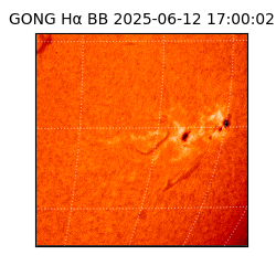 gong - 2025-06-12T17:00:02