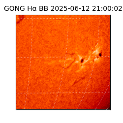 gong - 2025-06-12T21:00:02