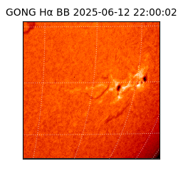 gong - 2025-06-12T22:00:02