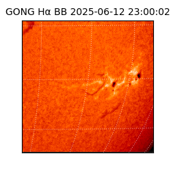 gong - 2025-06-12T23:00:02