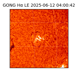 gong - 2025-06-12T04:00:42