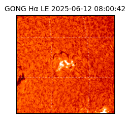 gong - 2025-06-12T08:00:42