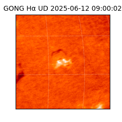 gong - 2025-06-12T09:00:02