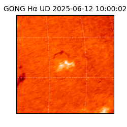 gong - 2025-06-12T10:00:02