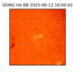 gong - 2025-06-12T16:00:02