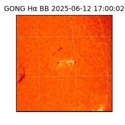 gong - 2025-06-12T17:00:02