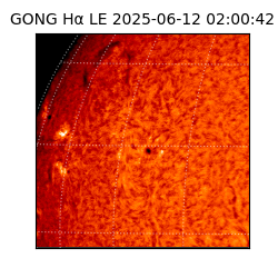 gong - 2025-06-12T02:00:42