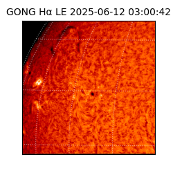 gong - 2025-06-12T03:00:42