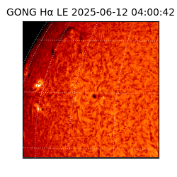 gong - 2025-06-12T04:00:42