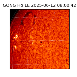 gong - 2025-06-12T08:00:42